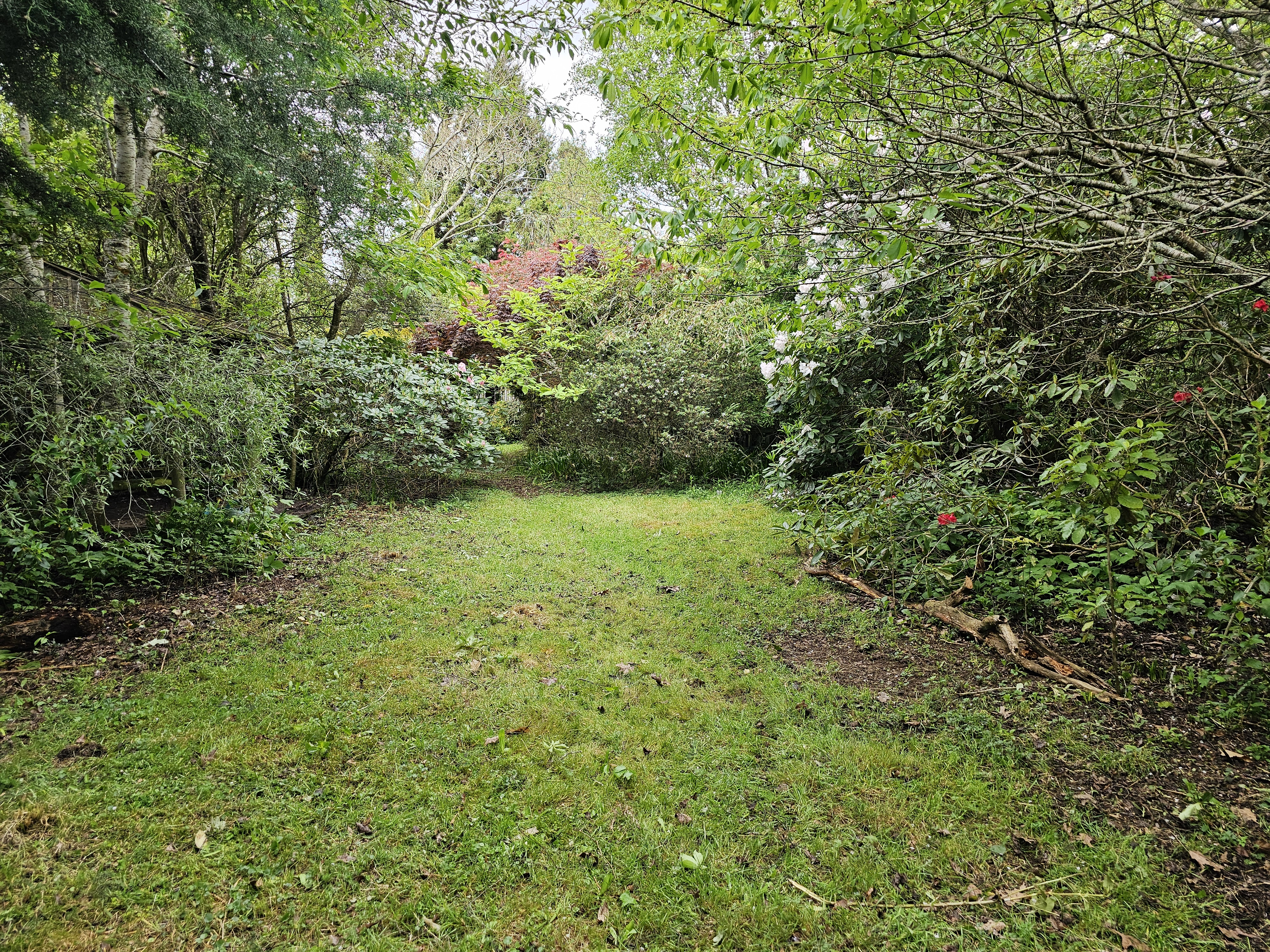 PL196068
